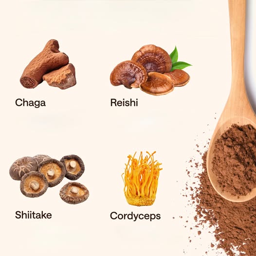 Boost your focus and immunity